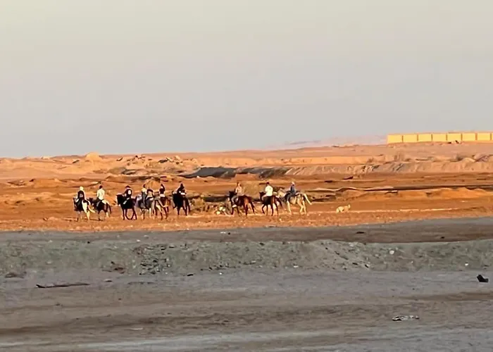 شقة اوسيس مارينا الغردقه الغردقة